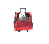 Oxford Pet Carrier Bag