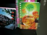 2015 Colorful Lenticular Plastic Notebook