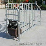 Pig Single Stall for Boar Rearing with CE Certification (JCJX-81)