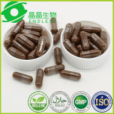 Red Reishi Powder Herbal Immune Booster Medicines