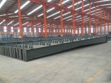Professional Steel Warehouse Building (CH-102)