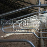 Livestock Equipment Cow Free Stall with Galvanizing Layer