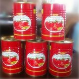 High Quality Canned Tomato Paste