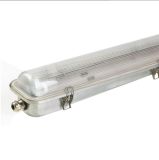 New Style Stainless Steel Waterproof Lamp IP65