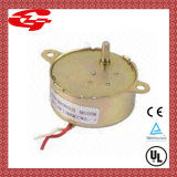 Hot Permanent Magnet Synchronous Motor (49TYJ)