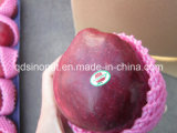 Super Huaniu Apple (good taste)
