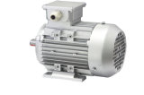 Y2 Series AC Electric Motor Cast Iron 2p 7.5kw