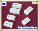 Rgg Wirewound Ceramic Resistor for PCB (RX27-5)