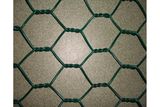 Chicken Wire Mesh/Hexagonal Wire Mesh