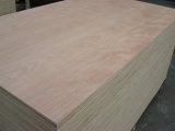 Fancy Plywood, Commercial Plywood, Bintangor and Okoume Plywood
