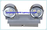 Yaye 6W LED Wall Lighting for Indoor Decoration