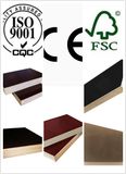 New Building Material