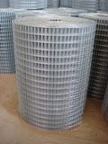 Welded Wire Mesh