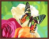Flower Butterfly Picture Oil Painting by Numbers Canvas Oil Painting 2015 New Hot Photo Gx6336
