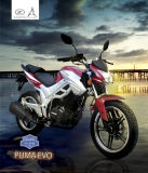 Motorcycle (Puma)