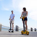 Mini 2-Wheel Electric Scooter