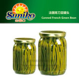 Canned French Green Bean