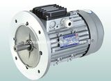 Ms Series Aluminum Three Phase Asynchronous Motor