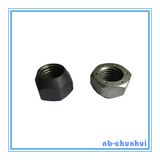 Hex Nut Non Standard Nut-M24~M80