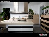 2015 Welbom Modern LED Light Lacquer Kitchen Cabinetry