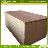 Bintangor Commercial Plywood (W14027)