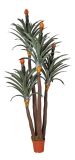 Artificial Plants and Flowers of Lucky on Head 250cm Gu-Bj-744-120-4A