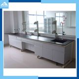 Laboratory Furniture/Lab Bench