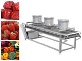 Vegetable Drying Machine (6ZWFG-Z-11)