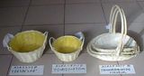 Willow Products