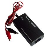 12V-24V Smart Universal NiMH Battery Charger