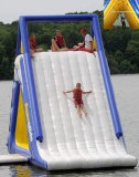 Inflatable Slide (AA-419)