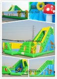 Inflatable Slide with Jungle Theme