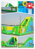 Inflatable Slide with Jungle Theme