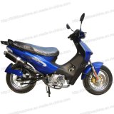 Motorcycle (HL125CUB-3)