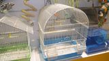 Aviary Cage Wire Mesh/Welded Wire Mesh