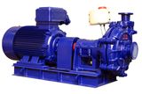 High Efficiency Slurry Pump (TZJS-300-700)