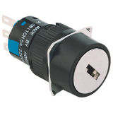 Push Button Switch (D16)