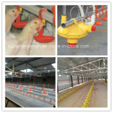 Poultry Nipple Drinking Equipment for Poultry Farming House