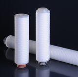 High Flow Rate Pes 0.22um Filter Cartridge for Food Process