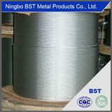 Galvanized Steel Wire Rope (GB, BS, DIN, EN, JIS)