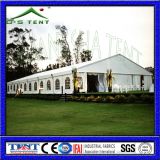 Wedding Marquee Lighting for Sale