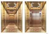 Luxury Passenger Elevator with CE Approve