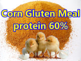 Feed Corn Gluten Meal with Lowest Price Protein 60%Min