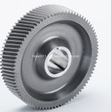 Precision Mild Steel Wide Pitch Wheel Hub Helical Gear