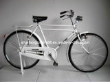 Steel Adult Popular Bicycle for Hot Sale (SH-TR022)