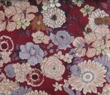 Upholstery Fabric  (306-6#)
