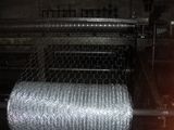 Hot Dipped Galvanized Rabbit Netting