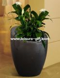 Fo-212 Fasionable Fiberglass Flower Plant Pots for Decoration
