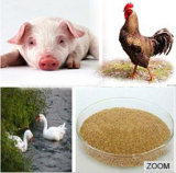 Animal Feed Choline Chloride