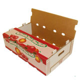 Corrugated Cardboard Fruit Packing Box
